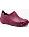 Zapato Profesional Zuecos Flotante Shoes Feliz Caminar Burdeos