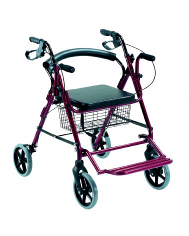 Rollator y Silla de Ruedas (2 en 1)