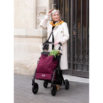 Carro de Compra con Asiento | Ortopedia.com