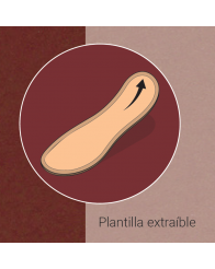 Plantilla Extraíble