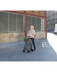 Andador Carro de Compra con Bolsa de Doble Nivel Andador Carro de Compra con Bolsa de Doble Nivel