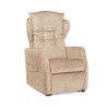 Sillón Elevable Relax Dafne