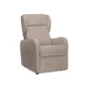 Sillón Elevable Relax Agave