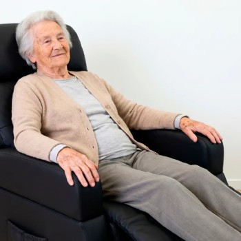 Sillón Elevador Relax Eléctrico con Asa | Ortopédico 170 kg