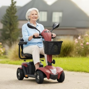 Scooter Eléctrico Libercar Magnus Motor 700W y Llave NFC