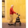Andador Ligero de Aluminio con Asiento y Cesta W04