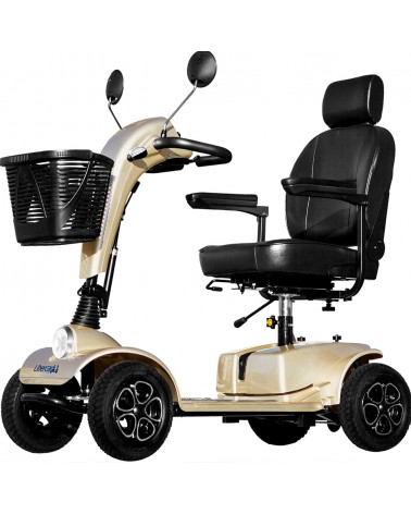 Scooter Eléctrico Cruiser | Libercar