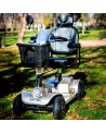 Scooter Eléctrico Cruiser | Libercar