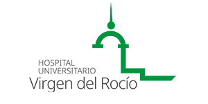 virgen-rocio